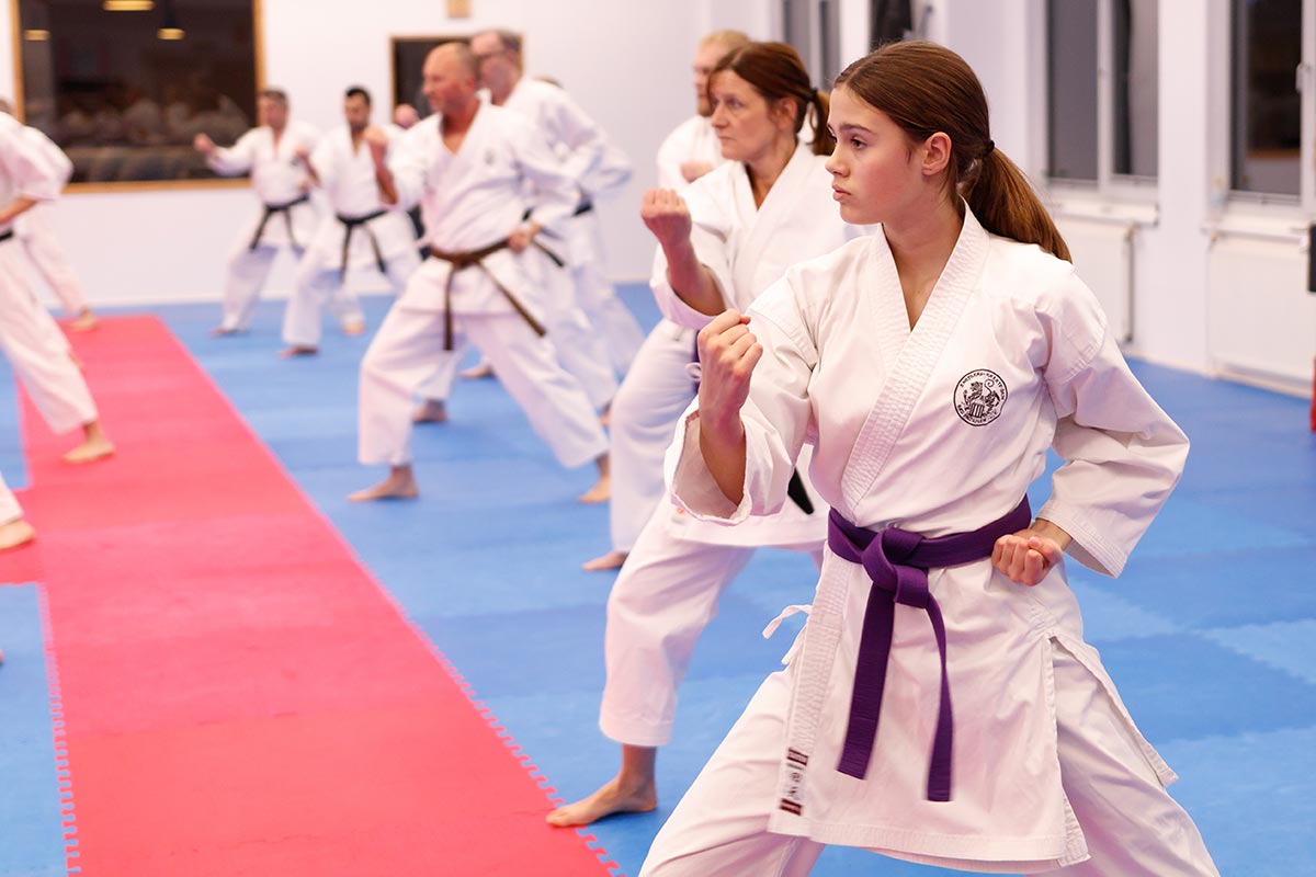 Karate Erwachsene Bad Salzuflen Kihon