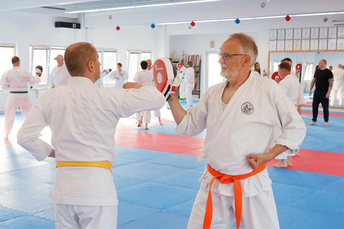 Karate Pratzentraining Erwachsene Anfänger Unterstufe