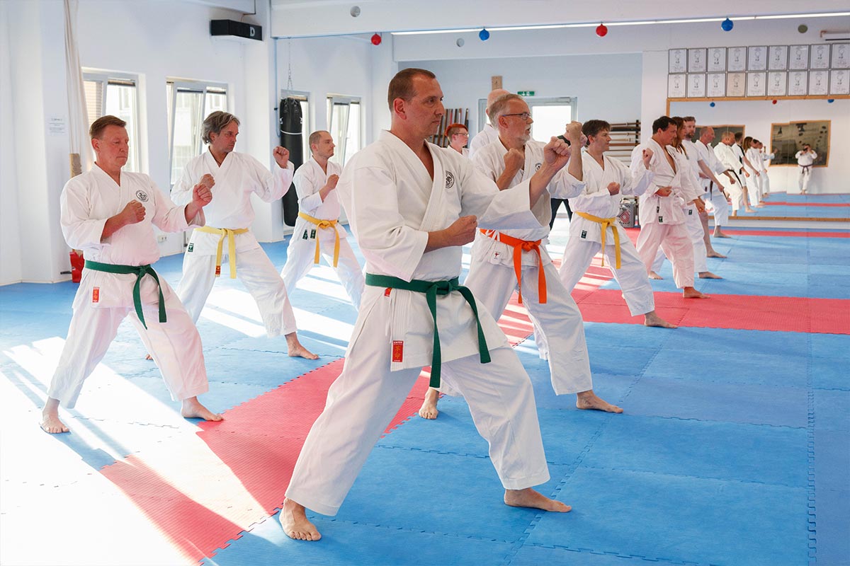 Karate Training Erwachsene Unterstufe