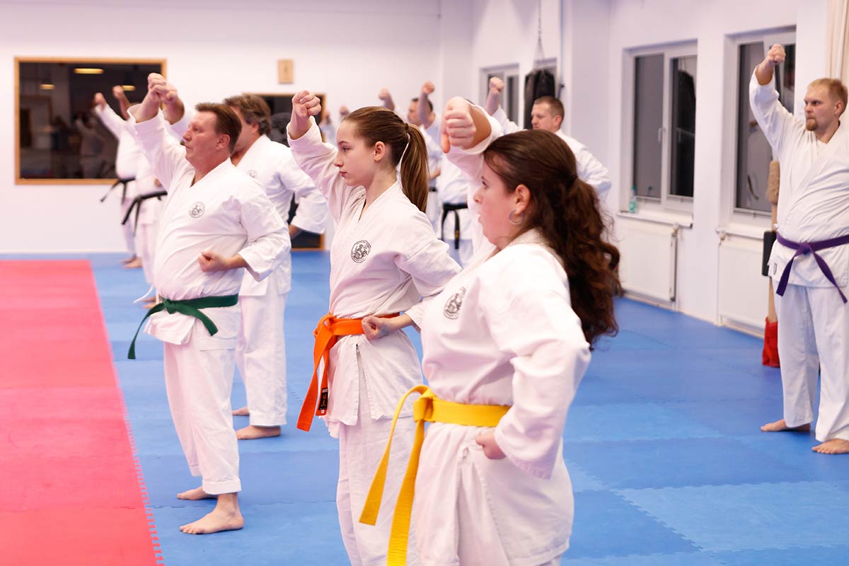 Karate Kata Training