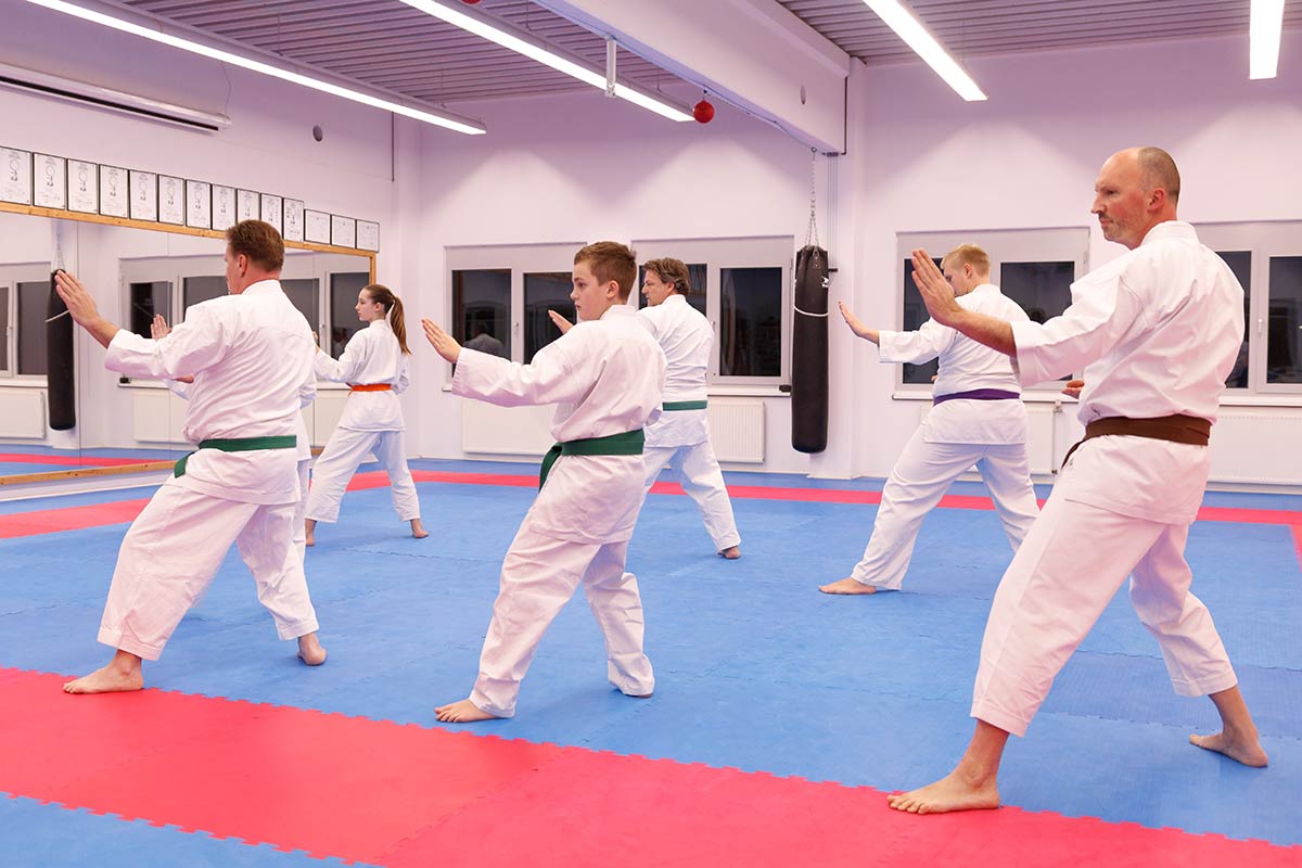 Karate Kata Training