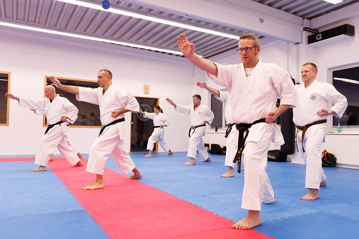 Karate Kata Training