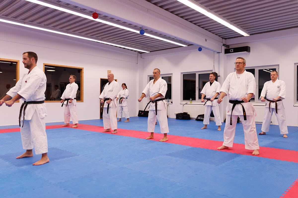 Karate Kata Training