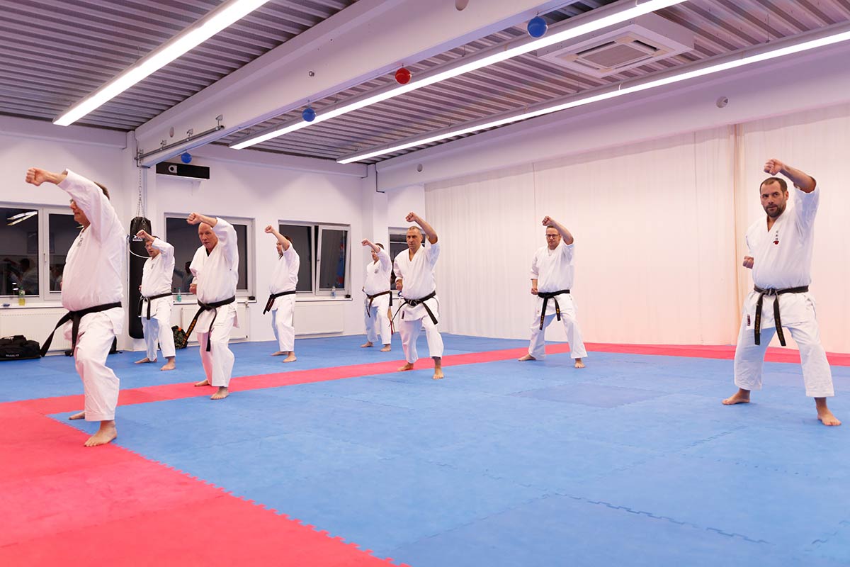 Karate Kata Training