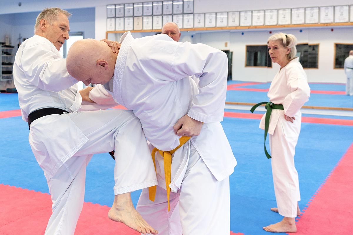 Karate Senioren Knieschlag