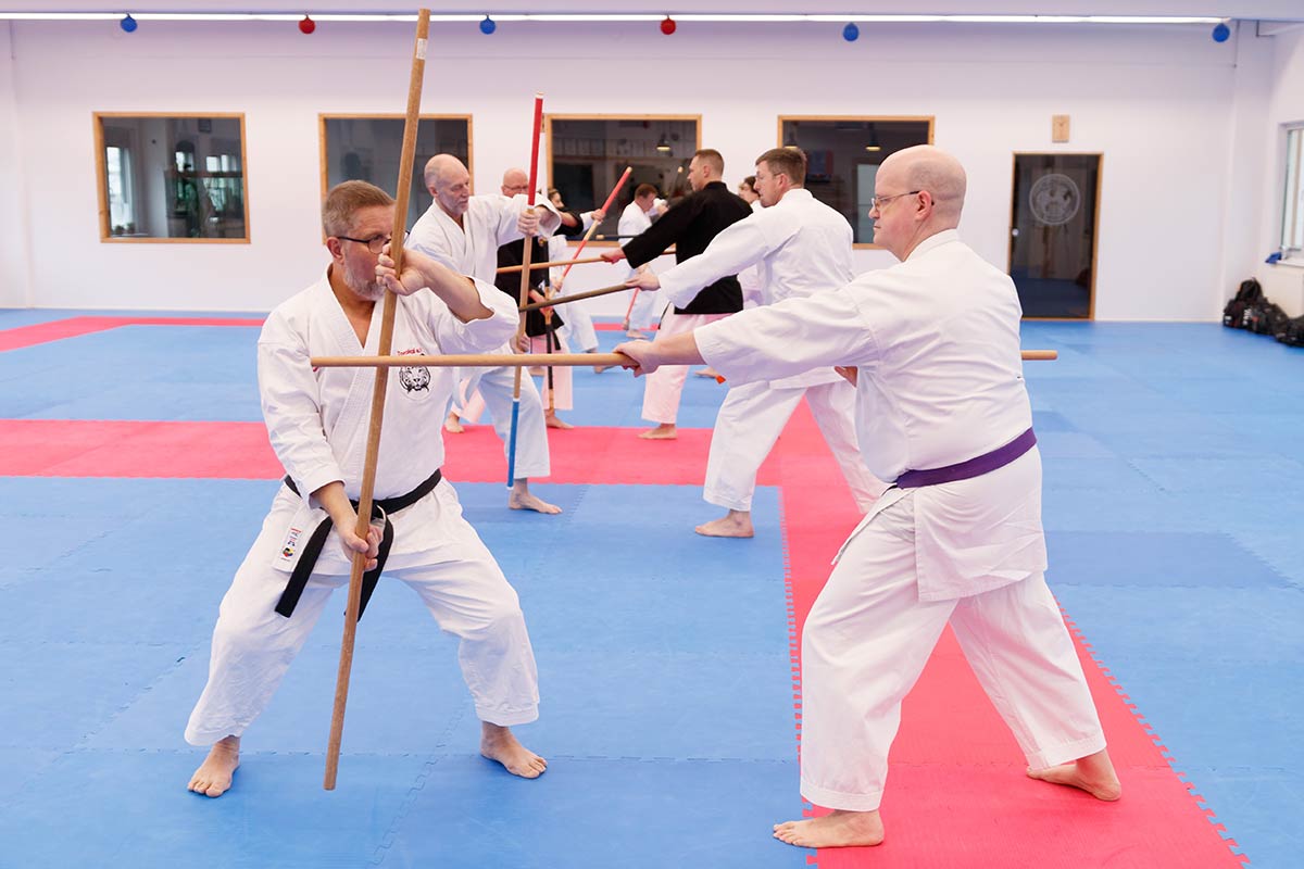 Kobudo Bo Training Bad Salzuflen