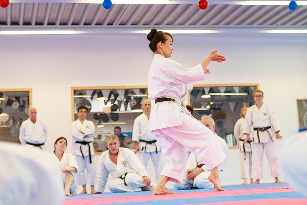 Karate Lehrgang Bad Salzuflen