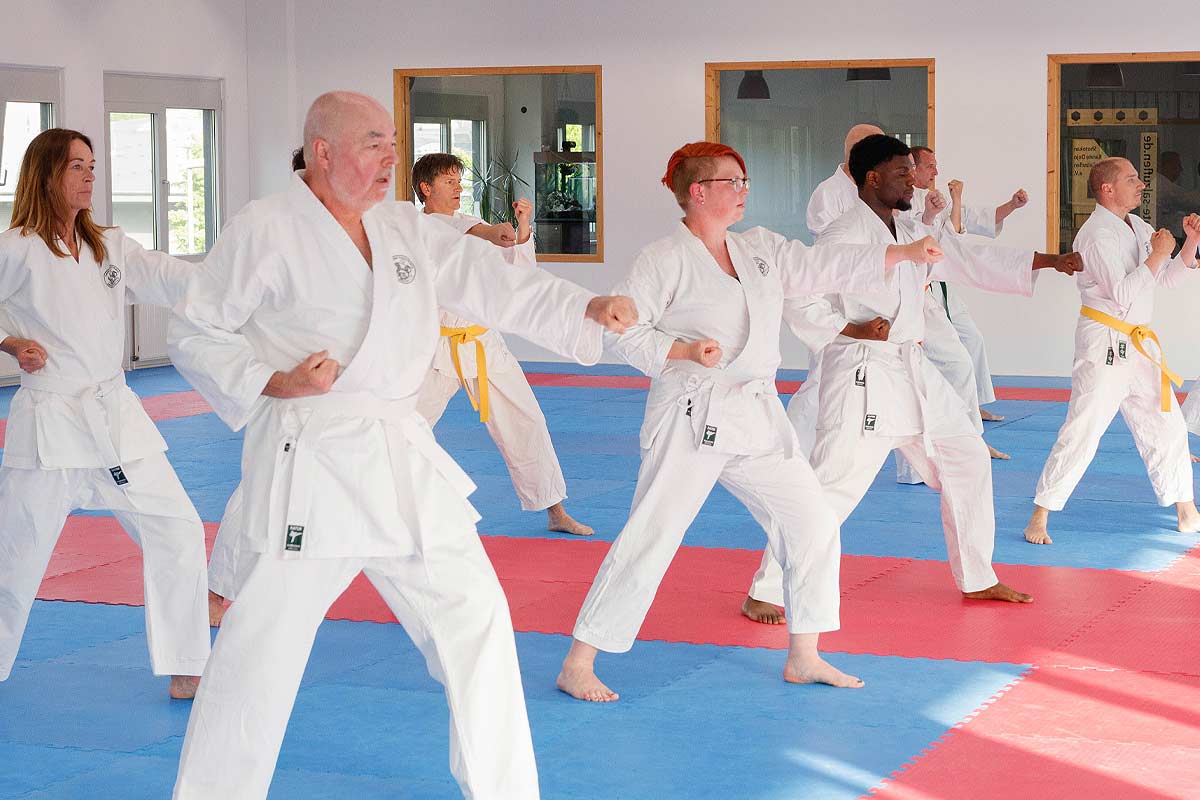 Karate Anfänger Kurs Bad Salzuflen
