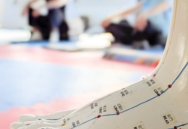 Tuina Selbstmassage im Karate Dojo Bad Salzuflen